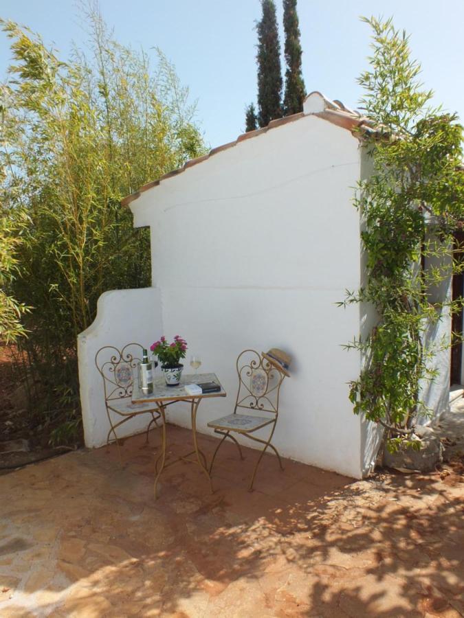 Buena Idea - Adults Only Jalon